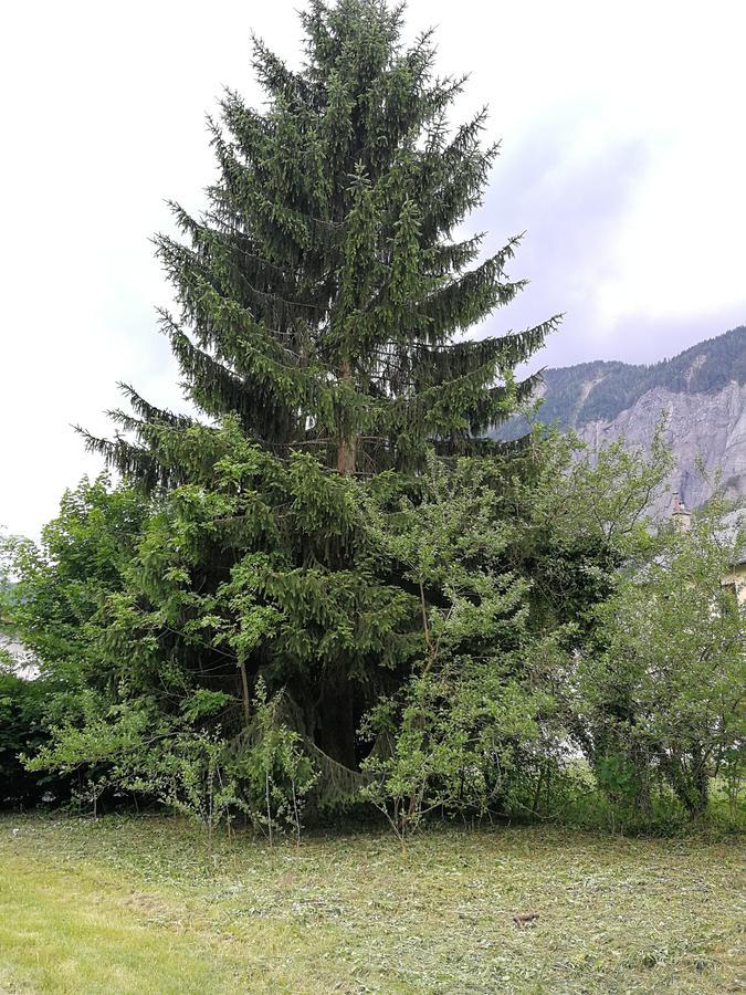 Sport'Hotel - Residence De Milan Le Bourg-dʼOisans Eksteriør billede